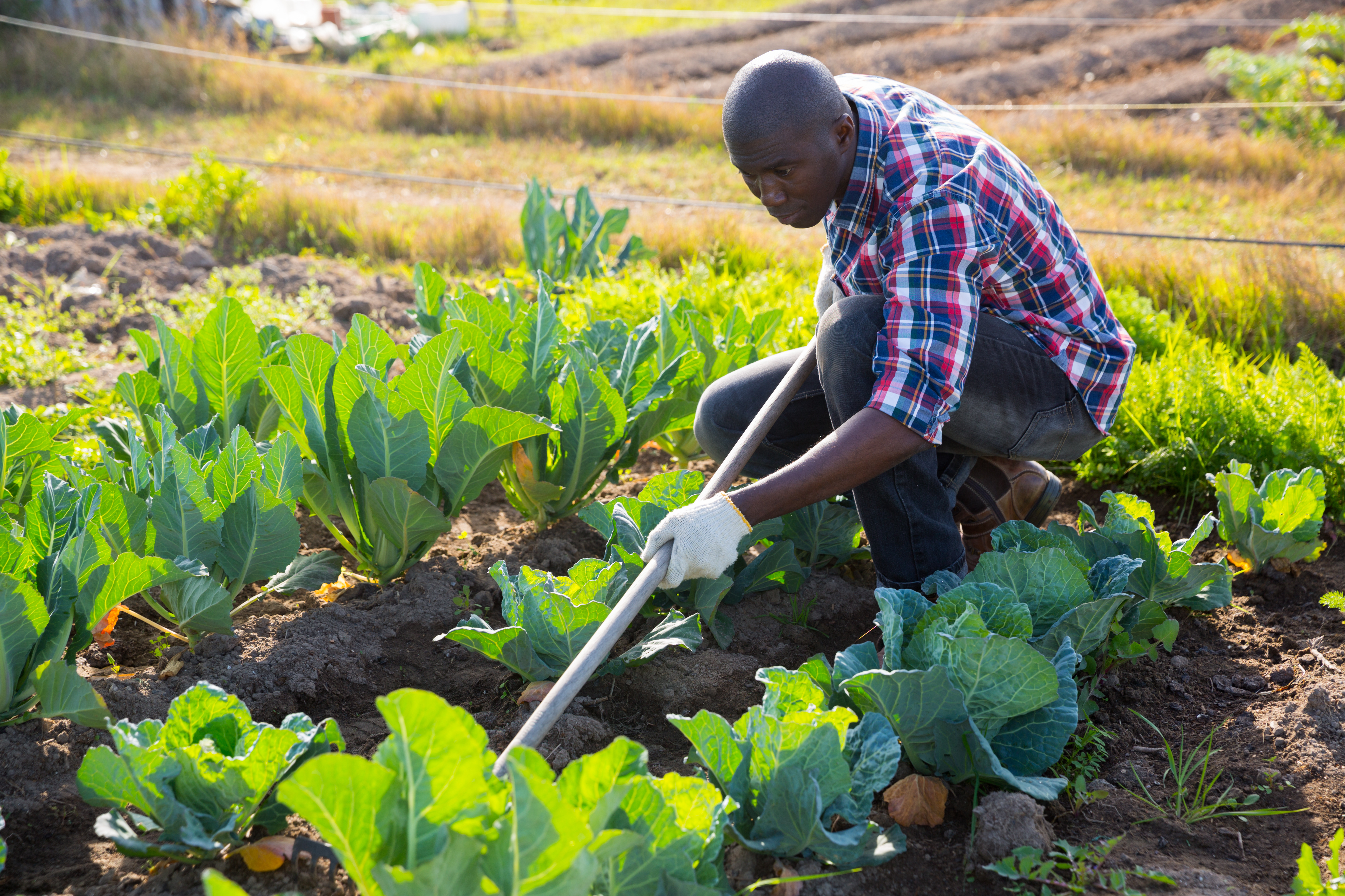 Portrait of smiling young man working in garden at spring farm